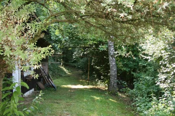 Immobilie in Blankenheim - Seltene Gelegenheit: Mehrfamilienhaus mit 4 Wohnungen auf 9.865 m² in einzigartiger Naturlage am Ort - Bild 4