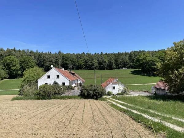 Immobilie in Reichertshausen - Traumhafte Alleinlage am Waldrand im Außenbereich, unverbaubar - Bild 3