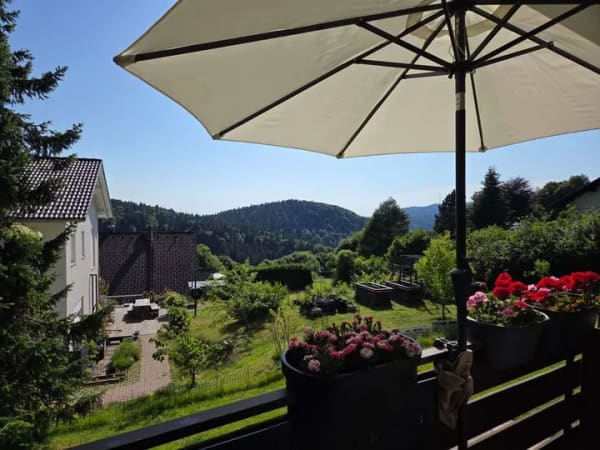 Immobilie in Herrischried - Wohnen am Sehnsuchtsort: Wunderschöne 2-Zi-Wohnung mit Südbalkon im Grünen - Bild 0