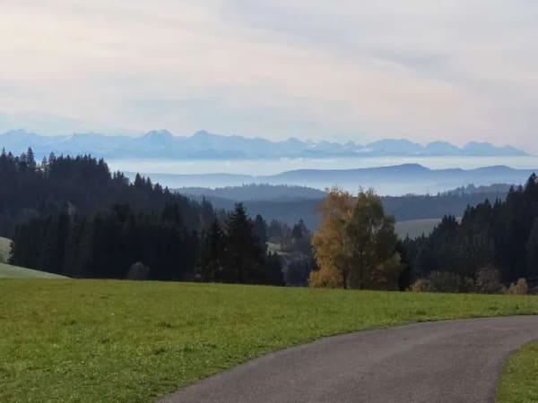 Immobilie in Herrischried - Wohnen am Sehnsuchtsort: Wunderschöne 2-Zi-Wohnung mit Südbalkon im Grünen - Bild 2