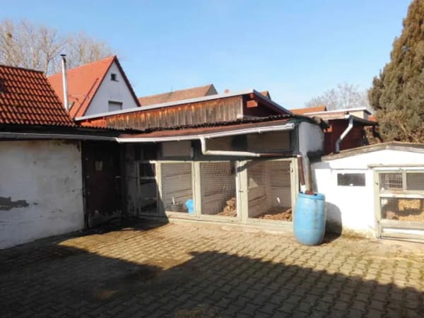 Immobilie in Bennewitz - Älteres EFH neu gestaltet! - Bild 4