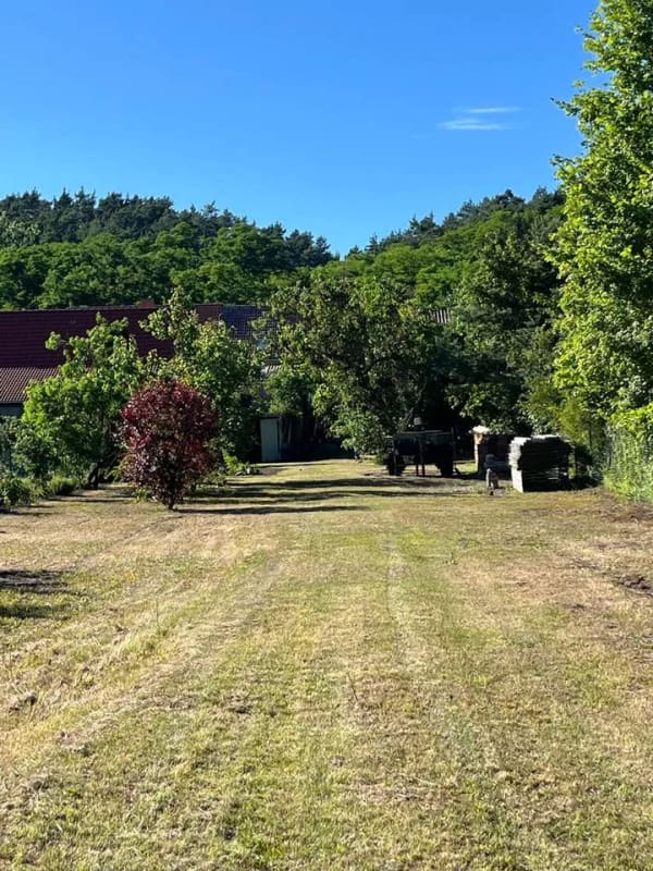 Immobilie in Bad Freienwalde (Oder) - Einfamilienhaus mit großem idyllischem Garten - Bild 4