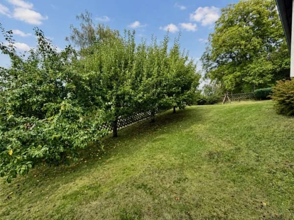 Immobilie in Lisberg - Toller Bungalow mit Garten und traumhaften Fernblick in Lisberg - Bild 3