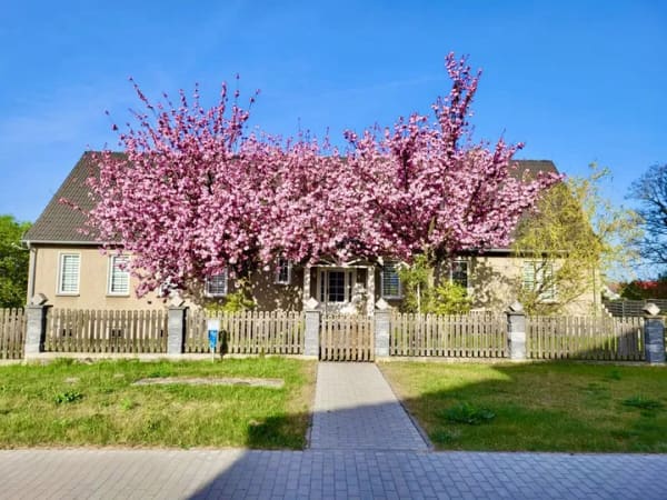 Immobilie in Gartz (Oder) - HORN IMMOBILIEN + großzügiges und elegantes Einfamilienhaus mit Einliegerwohnung und Garage in Gartz - Bild 1
