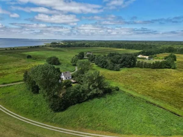 Immobilie in Zingst - Ihr Rückzugsort am Rande von Zingst – ein Haus mit Geschichte und Zukunft - Bild 3