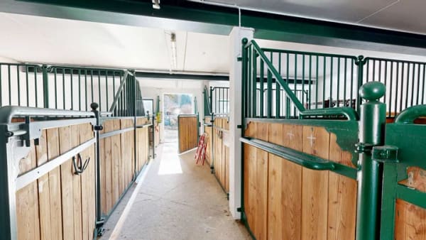 Immobilie in Saldenburg - Mehrgenerationenanwesen mit 11 Pferdeboxen, Offenstall und landwirtschaftl. Flächen in Saldenburg - Bild 2