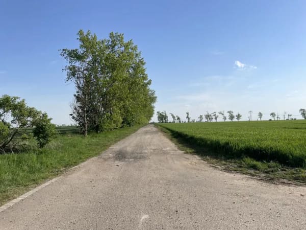 Immobilie in Lützen - Im Jahr 2018 erbautes Einfamilienhaus - 5 Zimmer - 1000 m² Grundstück für Ihre Familie - Bild 1