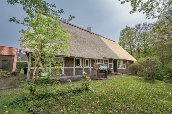 Immobilie in Dollern - Historisches Reetdachhaus im Dollener Ortskern sucht einen neuen Eigentümer! - Bild 0