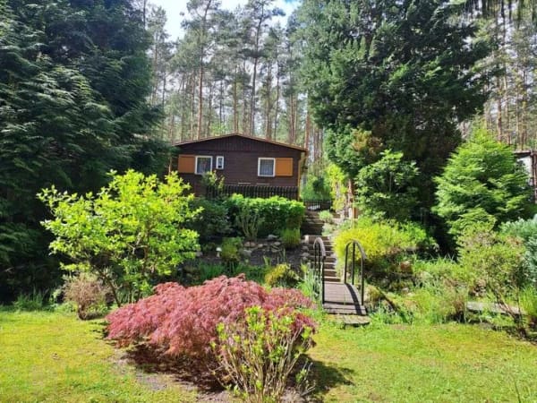 Immobilie in Coswig (Anhalt) - Sommer 2026 im eigenen Freizeitbungalow in ruhiger, idyllischer Waldlage von Coswig Möllensdorf - Bild 0