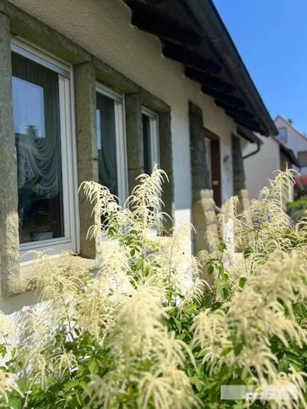 Immobilie in Werl - Charmantes Einfamilienhaus mit vielseitigen Nutzungsmöglichkeiten in ruhiger Lage von Werl-Büderich! - Bild 1