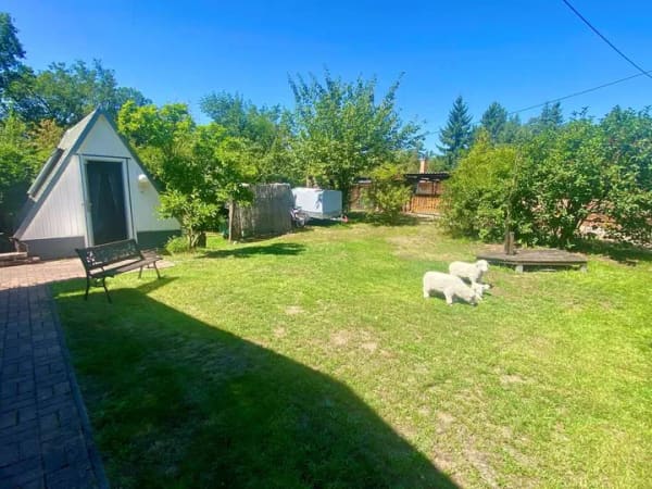 Immobilie in Gommern - Gepflegter Bungalow mit Finnhütte, Jacuzzi, zwei Terrassen & idyllischem Garten - Pachtgrundstück - Bild 2