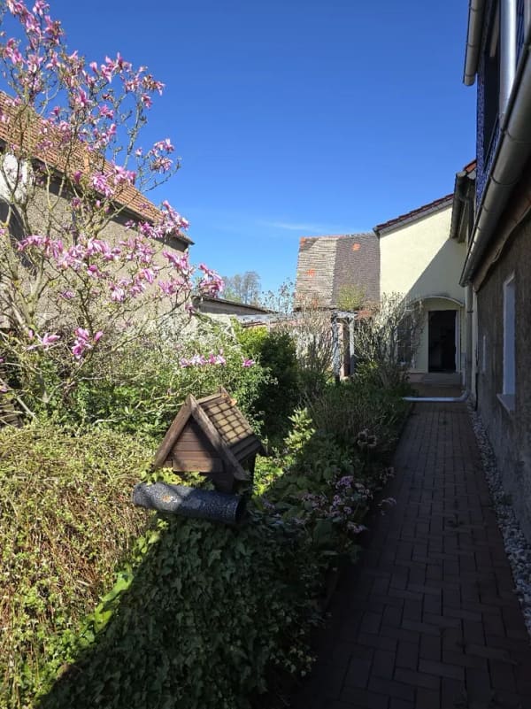 Immobilie in Doberschütz - hr neues Zuhause mit Ausbaupotenzial in Doberschütz - Bild 3