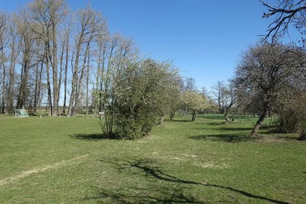 Immobilie in Ebersbach - Rohbau mit Grundstück zum fairen Preis - Bild 2