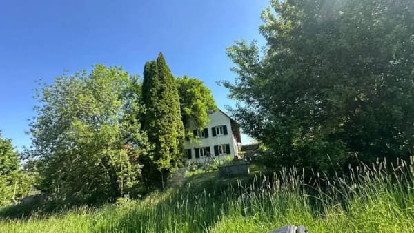 Immobilie in Attenweiler - Bauernhaus mit Scheune, Nebengebäuden und viel Land zu verkaufen! - Bild 2