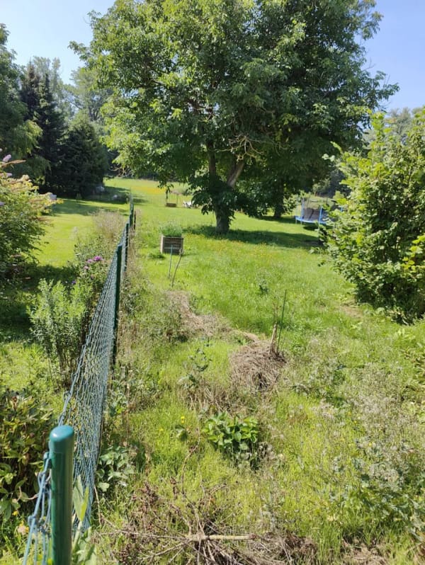 Immobilie in Amt Wachsenburg - Amt Wachsenburg-OT, DHH - Bild 1