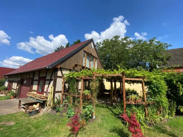 Immobilie in Klötze - Einfamilienhaus, freistehend mit Carport und Garten - Bild 4
