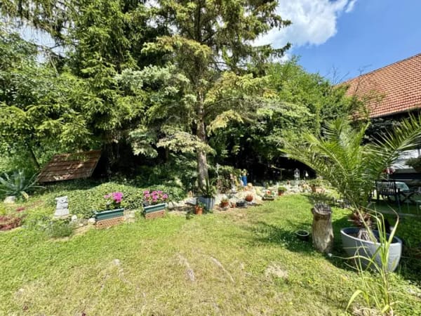 Immobilie in Ottersheim - Einfamilienhaus freistehend in Ottersheim - Bild 1