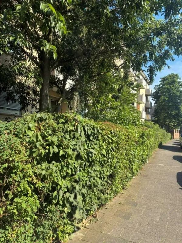 Immobilie in Worms - Charmante 1-Zimmerwohnung mit Balkon - Bild 1