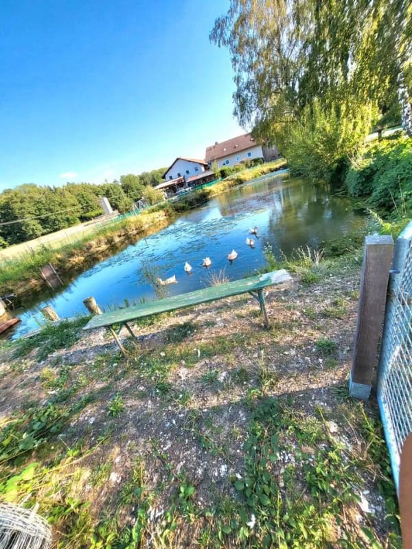Immobilie in Bad Birnbach - Romantisches Bauernhaus mit Fischteich, ca 2500 qm Grund - Bild 0
