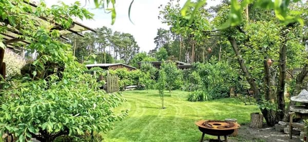 Immobilie in Winsen (Aller) - Naturnahes Einfamilienhaus mit Charme - Bild 2