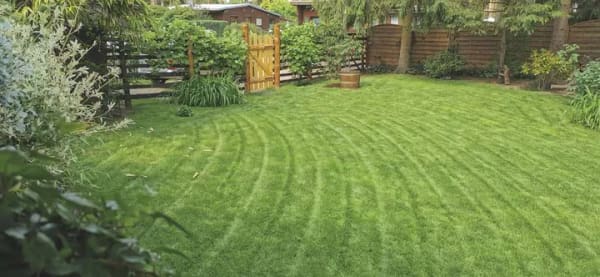 Immobilie in Winsen (Aller) - Naturnahes Einfamilienhaus mit Charme - Bild 3