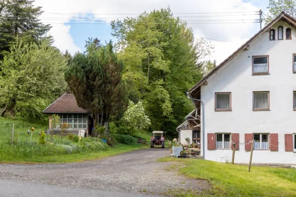 Immobilie in Böhen - Ein Refugium für Individualisten - komplette Alleinlage - mit Feld, Wald und eigener Wasserquelle - Bild 4