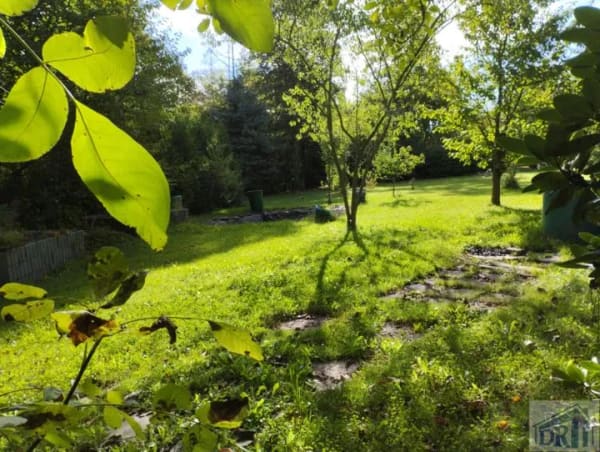 Immobilie in Oderwitz - Anpacker gesucht! - Wohnhaus mit Doppelgarage, Gartenpavillon und großem Grundstück - Bild 1