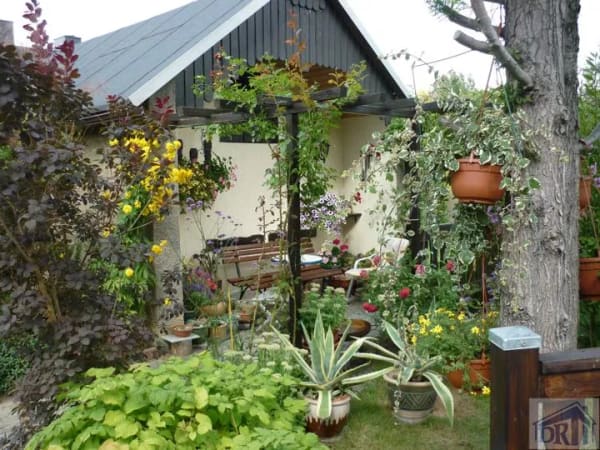 Immobilie in Ebersbach-Neugersdorf - Neuer Preis!! Viel Platz in Haus und Garten !!!
***sofort beziehbar*** - Bild 0