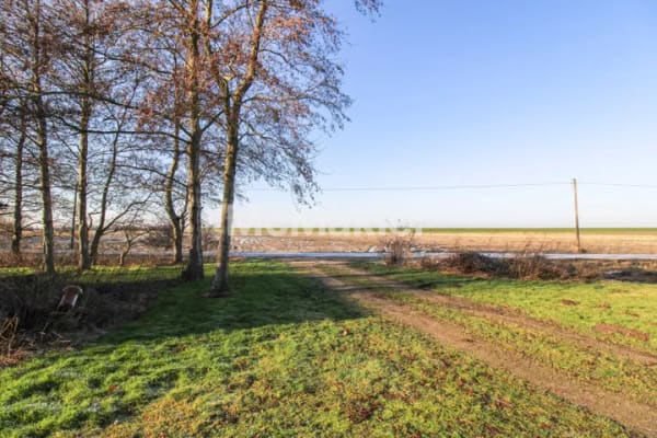 Immobilie in Simonsberg - Renovierungsbedürftiges Bauernhaus mit Nordsee-Blick in Holzständerbauweise - 6WE möglich - Bild 4