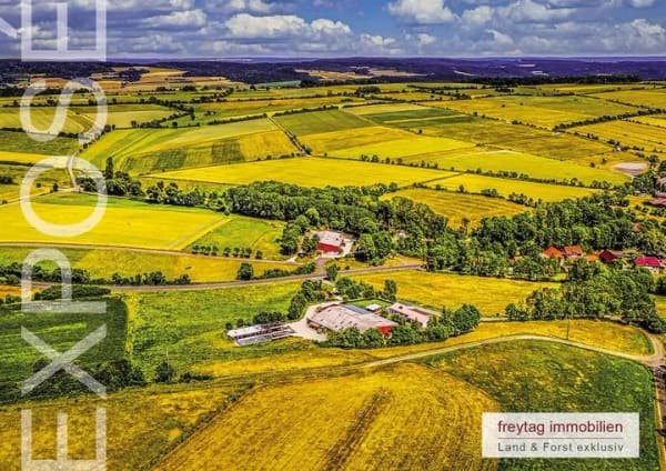 Immobilie in Ringgau - Zertifizierter Biolandbetrieb - Paradies für Mensch und Tier - Bild 0