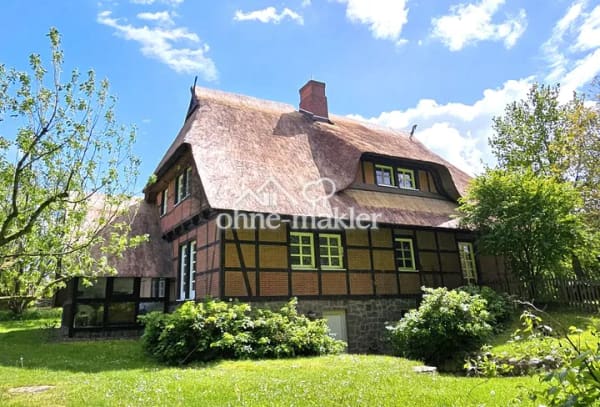 Immobilie in Dobin am See - Landhaus vor den Toren von Schwerin - Bild 3