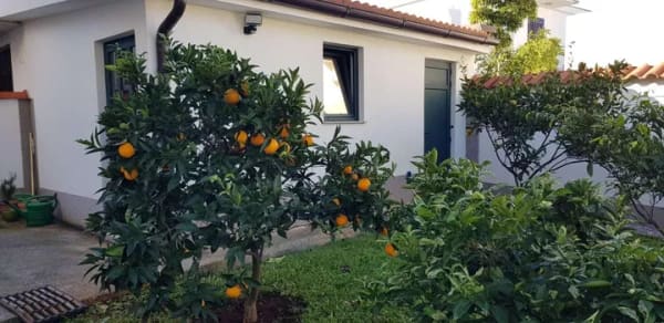 Immobilie in Lauingen (Donau) - Wunderschönes Haus am Meer - Bild 1