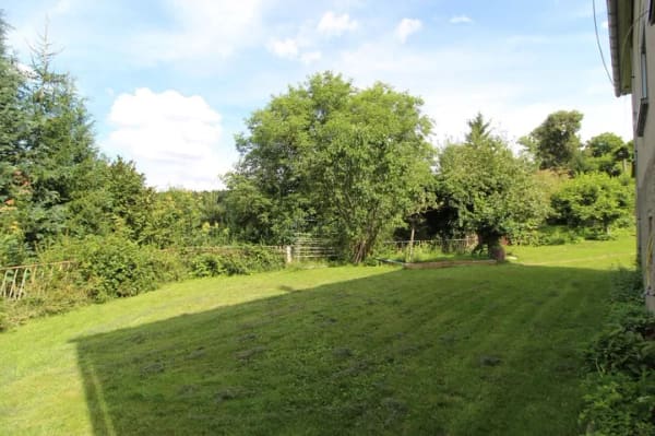 Immobilie in Limbach-Oberfrohna - Einfamilienhaus zum Ausbau/Sanierung in schöner Lage - Bild 3