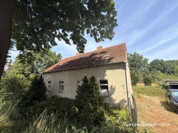 Immobilie in Luckau - Für Liebhaber historischer Bauernhäuser – sanierungsbedürftiges Anwesen mit originalem Charme - Bild 1