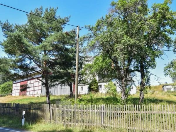 Immobilie in Langenbernsdorf - 4-Seiten-Hof in Langenbernsdorf - Bild 3