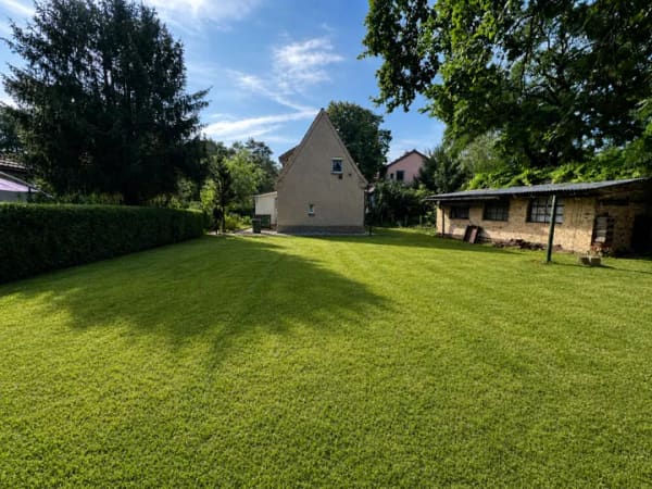 Immobilie in Eichwalde - Naturidylle mit Entwicklungspotenzial – kleines Einfamilienhaus auf ca. 673 m² nahe dem See - Bild 2