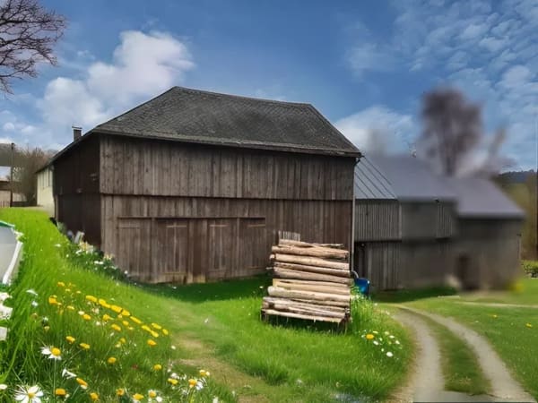 Immobilie in Markneukirchen - Bauernhaus mit Scheunen und Garagen! - Bild 3