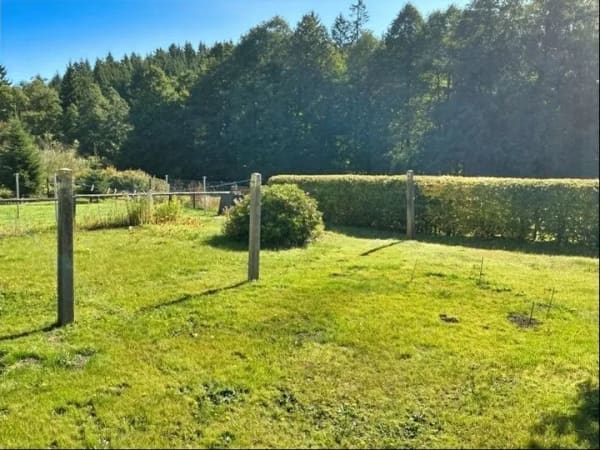 Immobilie in Klingenthal - Liebevoll gepflegtes Haus für Sie - Bild 3
