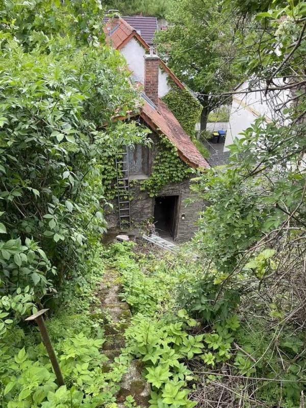 Immobilie in Dornburg-Camburg - Wohnhaus mit Garage, Sonnenterrasse, Berggarten und Gewölbekeller - Bild 0