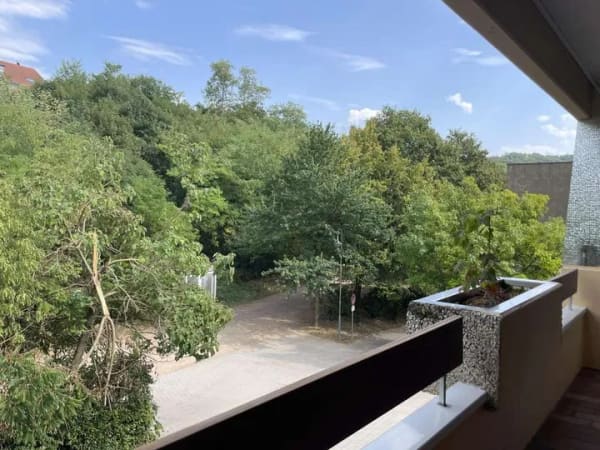 Immobilie in Bad Bellingen - Ideale Kapitalanlage oder die erste eigene Wohnung in guter Lage
 - Bild 3