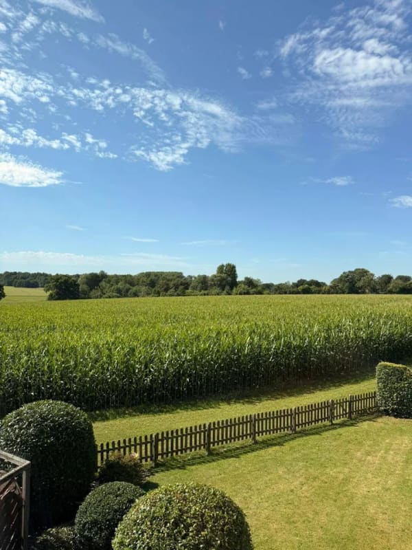 Immobilie in Alveslohe - Charmantes Einfamilienhaus in ruhiger Feldrandlage von Alveslohe – Viel Potenzial auf 493 m² Grundstück - Bild 1
