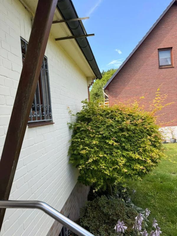 Immobilie in Alveslohe - Charmantes Einfamilienhaus in ruhiger Feldrandlage von Alveslohe – Viel Potenzial auf 493 m² Grundstück - Bild 3