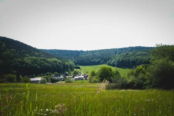 Immobilie in Eschau - Ihre Insel der Ruhe im Spessart 🌳 - Bild 1