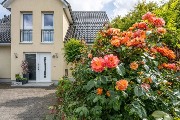 Immobilie in Kummerfeld - Modernes, energieeffizientes Einfamilienhaus in ruhiger Lage vor den Toren Hamburgs - Bild 3