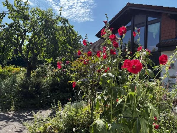 Immobilie in Itzstedt - Lichtdurchflutetes Einfamilienhaus
auf ruhigem Grundstück
in Ortsrandlage - Bild 2
