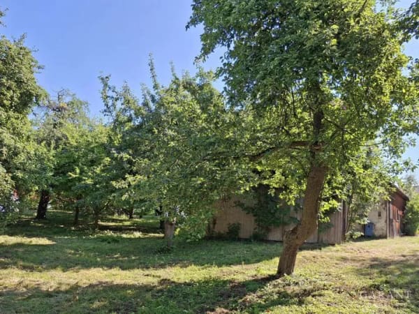Immobilie in Mittelstetten - Neubau - Einfamilienhaus: modern, effizient und familiengerecht - Bild 1