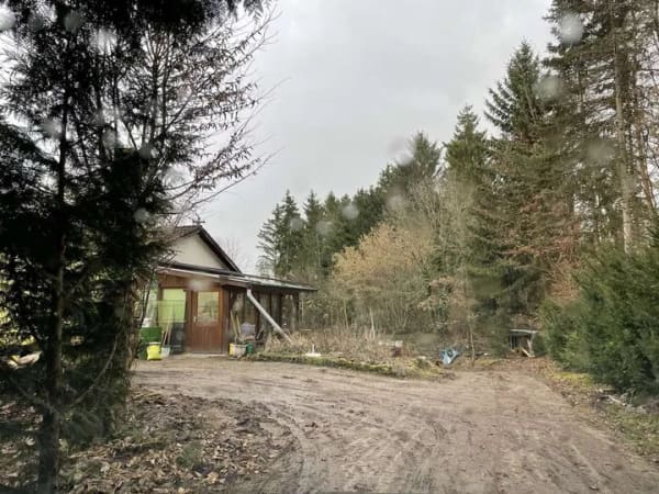 Immobilie in Duggendorf - Großzügiges Grundstück in naturnaher Lage – ca. 6.700 m² mit bestehendem Wochenendhaus zu verkaufen! - Bild 0