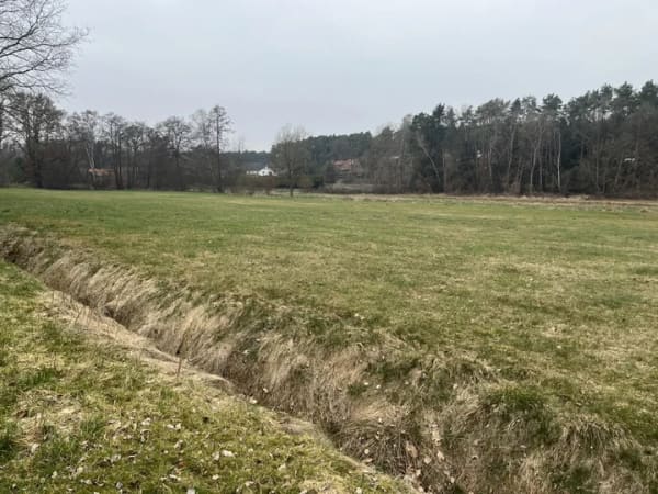 Immobilie in Bienenbüttel - Gepflegtes Einzelhaus in Feldrandlage! Schnelle Entscheidung erwünscht! - Bild 0