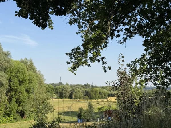 Immobilie in Bad Rappenau - Kleines Wohnhaus in naturnaher ruhiger Wohnlage - Bild 0