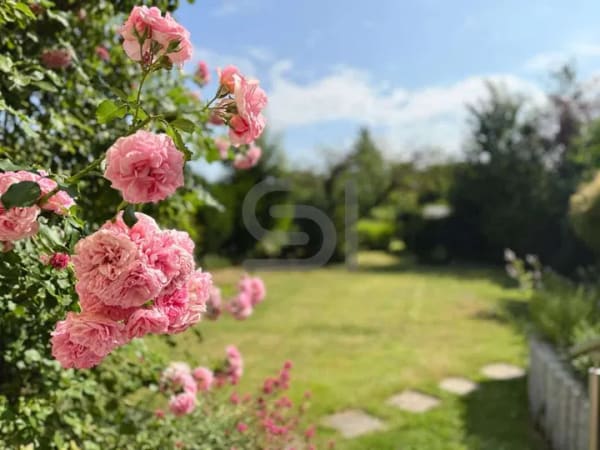 Immobilie in Erwitte - Großzügiges Familienhaus mit traumhaft weitläufigem Garten in Erwitte - Bild 1